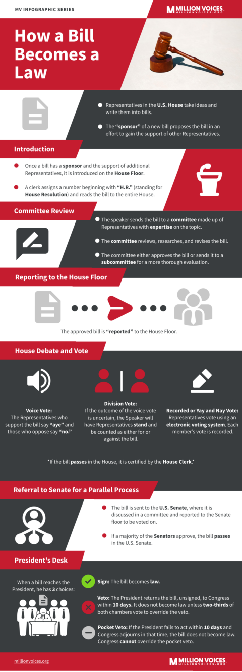 How A Bill Become A Law Infographic - Million Voices