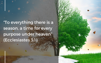 The Wisdom of Ecclesiastes: A Journey Towards Divine Purpose