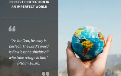 Perfect Protection in an Imperfect World