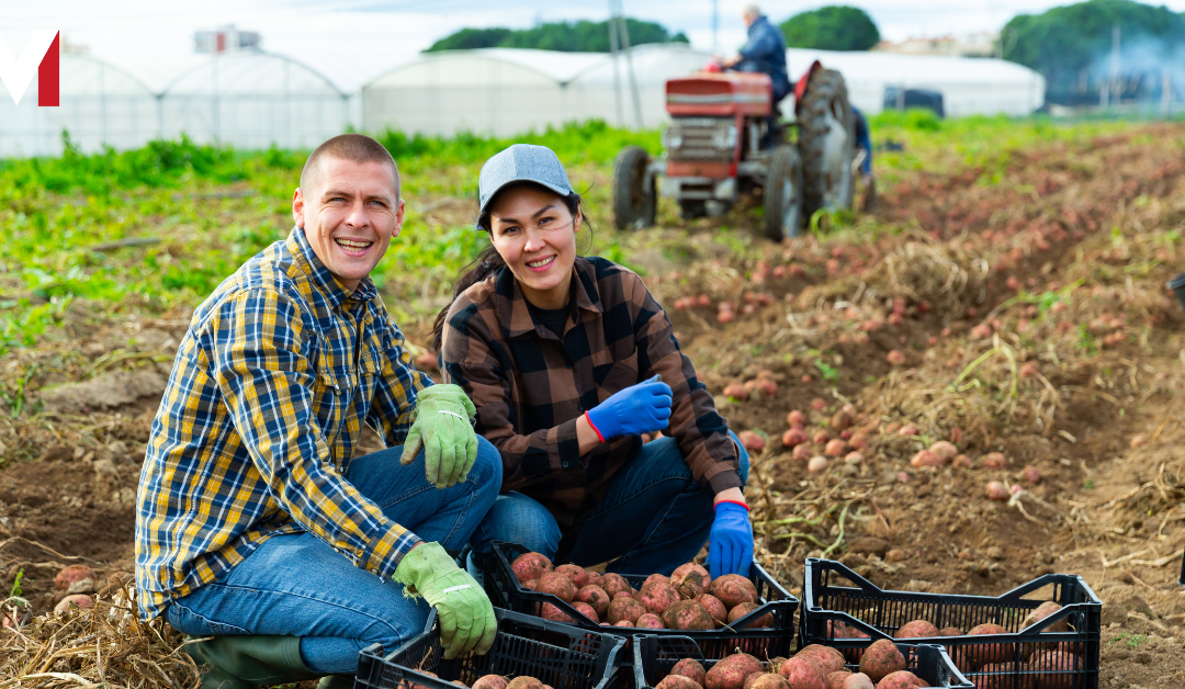 EXCLUSIVE: State Law Could Cut Food Costs With Overhaul Of Farming, Agricultural Industry