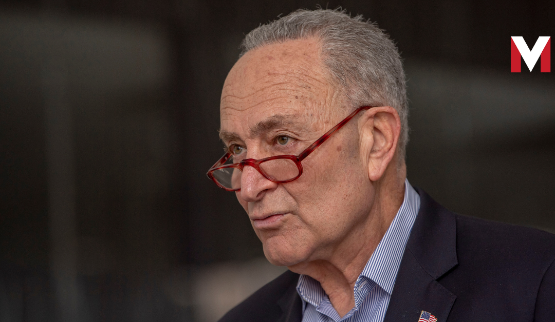 Chuck Schumer Admits on Live TV: Dems Stacked Court to Undermine Trump