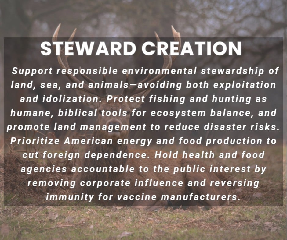 STEWARD CREATION