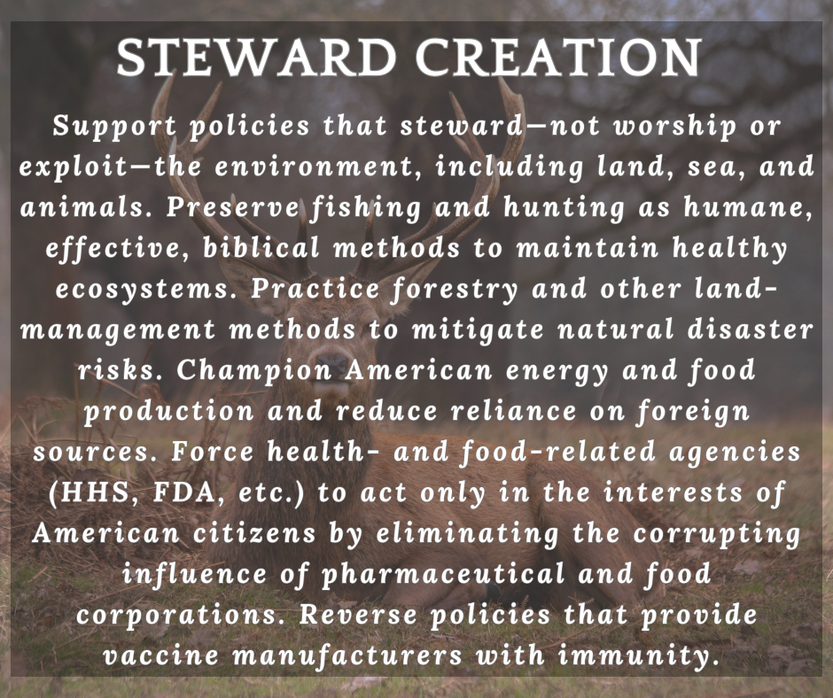 STEWARD CREATION