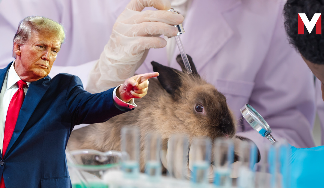 Trump’s EPA Ends Animal Testing Nightmare — Launches Lab Animal Adoption Program