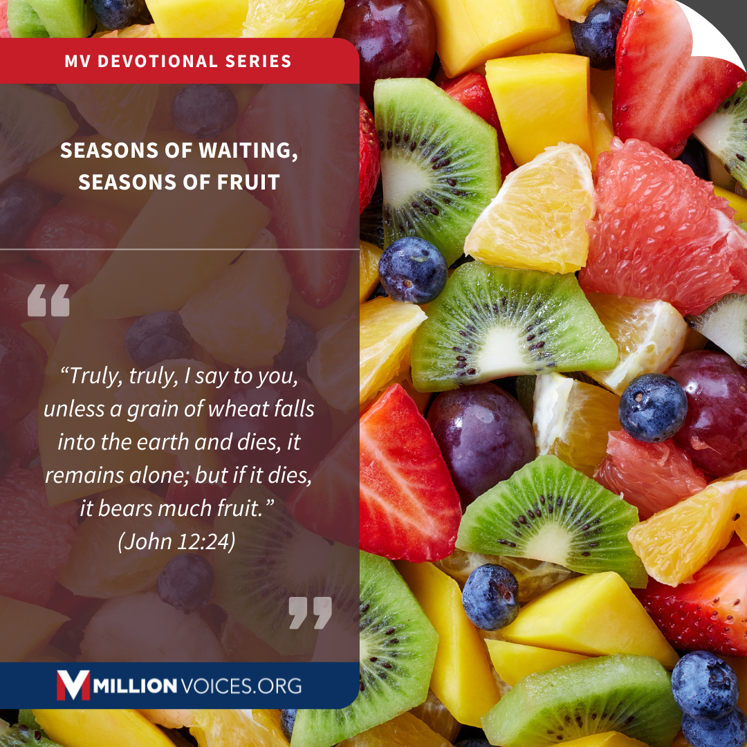 Seasons of Waiting, Seasons of Fruit