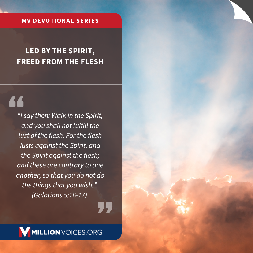 Led by the Spirit, Freed from the Flesh