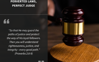 Perverted Laws, Perfect Judge