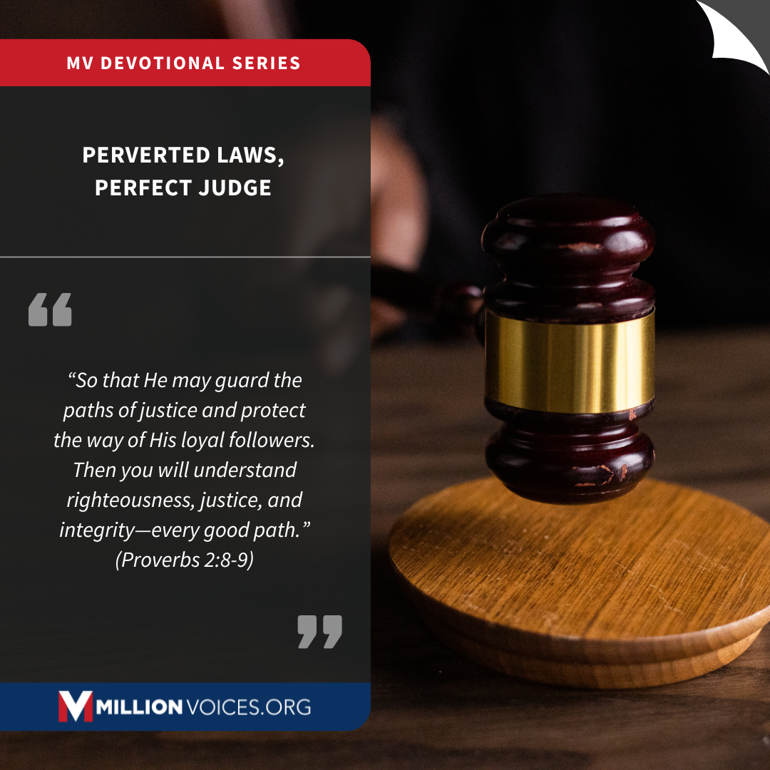 Perverted Laws, Perfect Judge