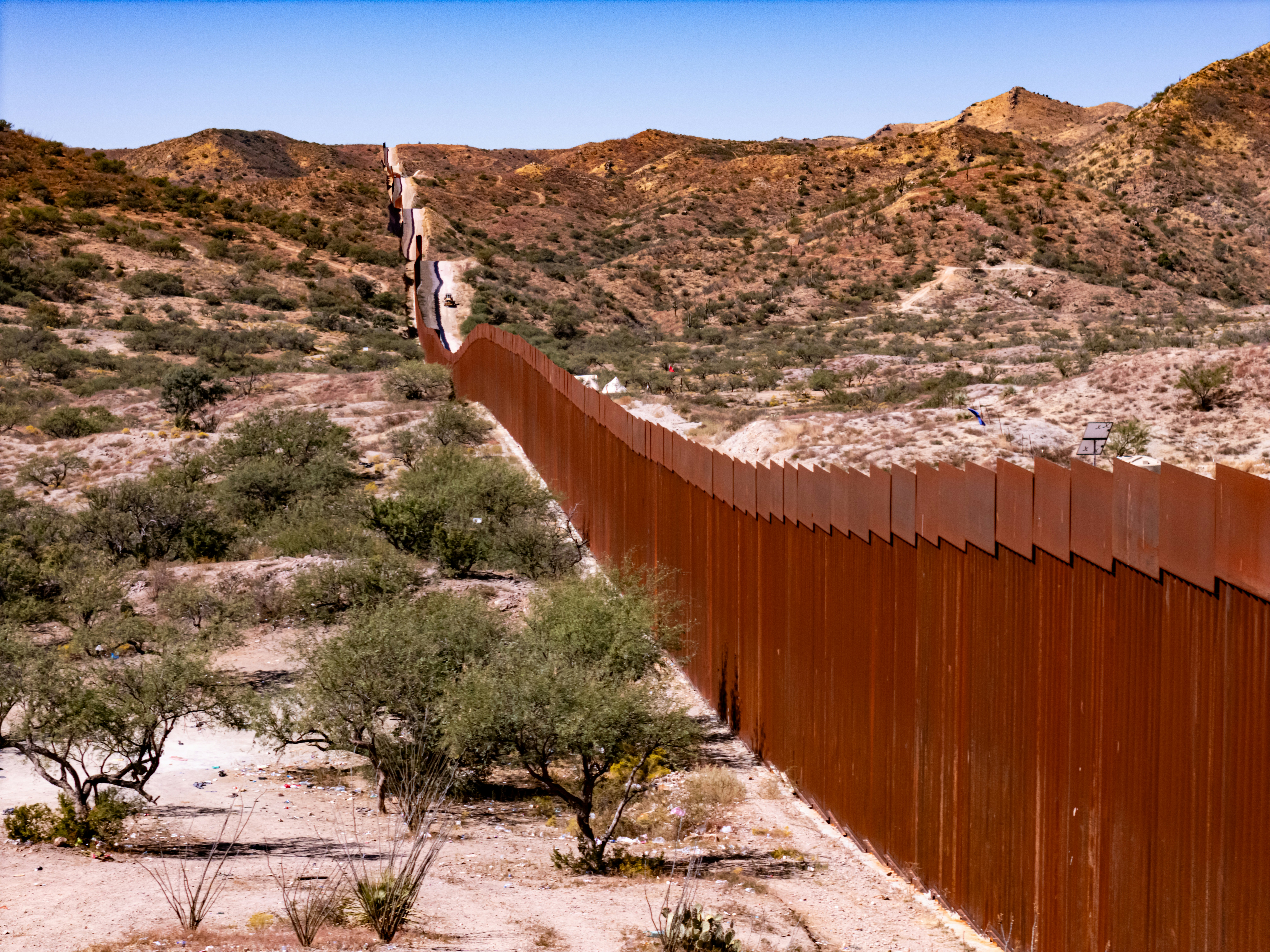 How States Quietly Gave Illegal Immigrants the Wheel