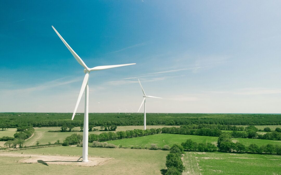 Blown Away: Court Overturns Trump’s Wind Energy Ban
