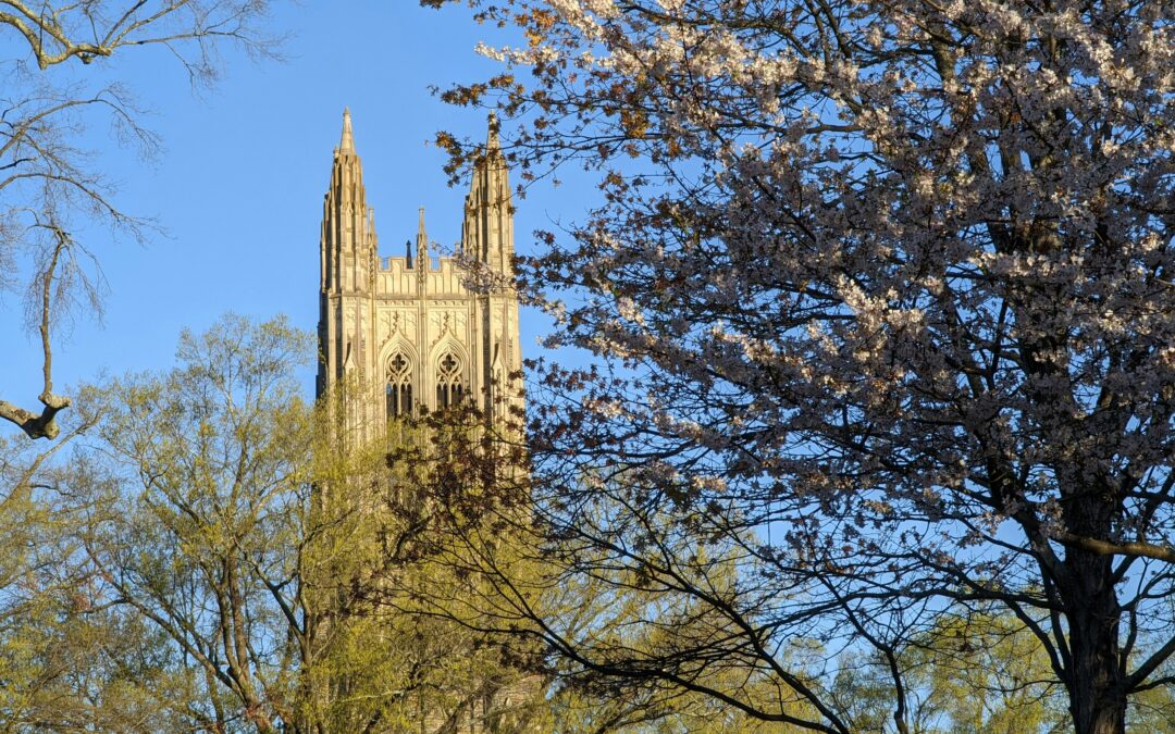 Abortion Ties Exposed in Christian Colleges Report
