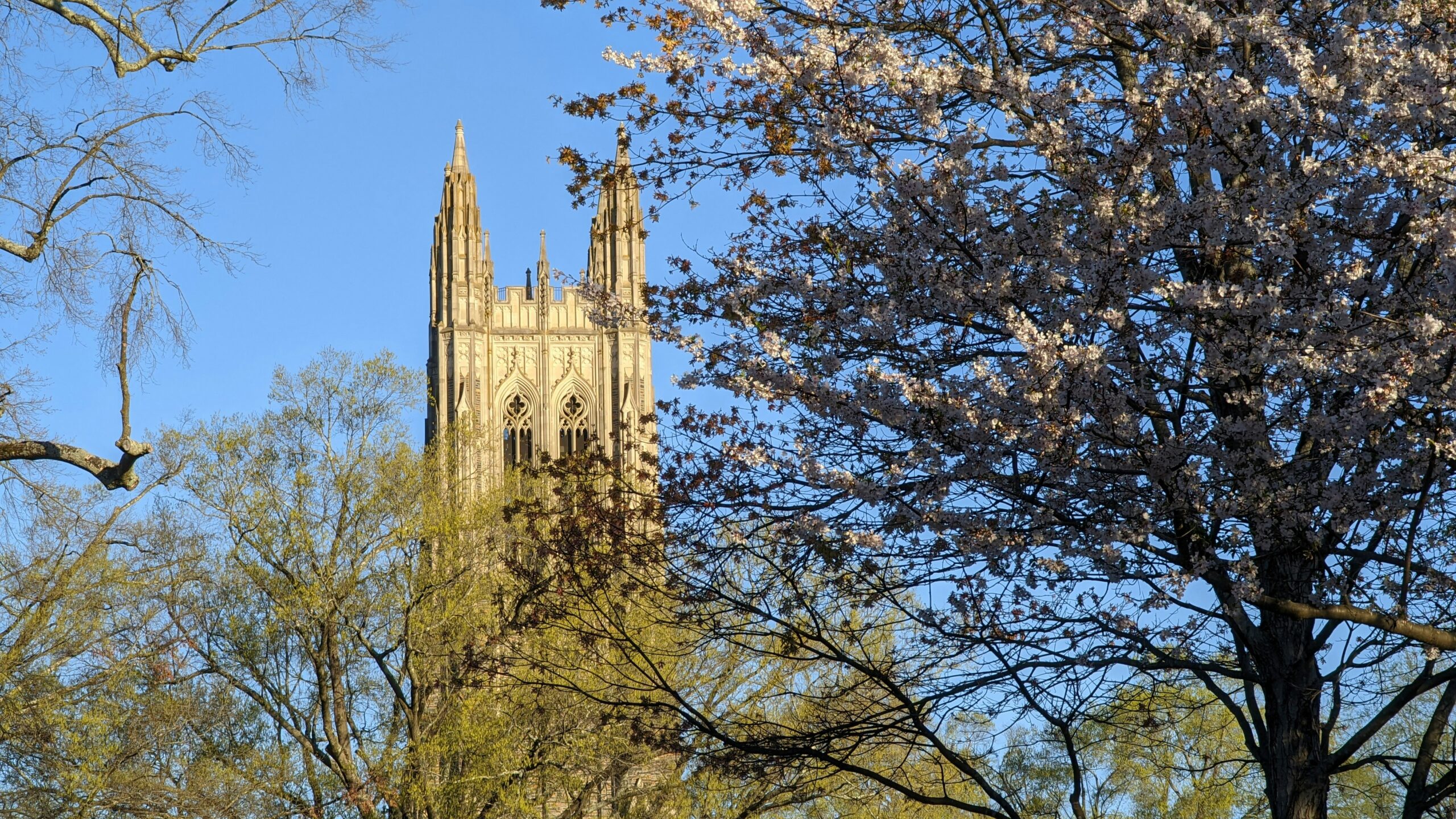 Abortion Ties Exposed in Christian Colleges Report