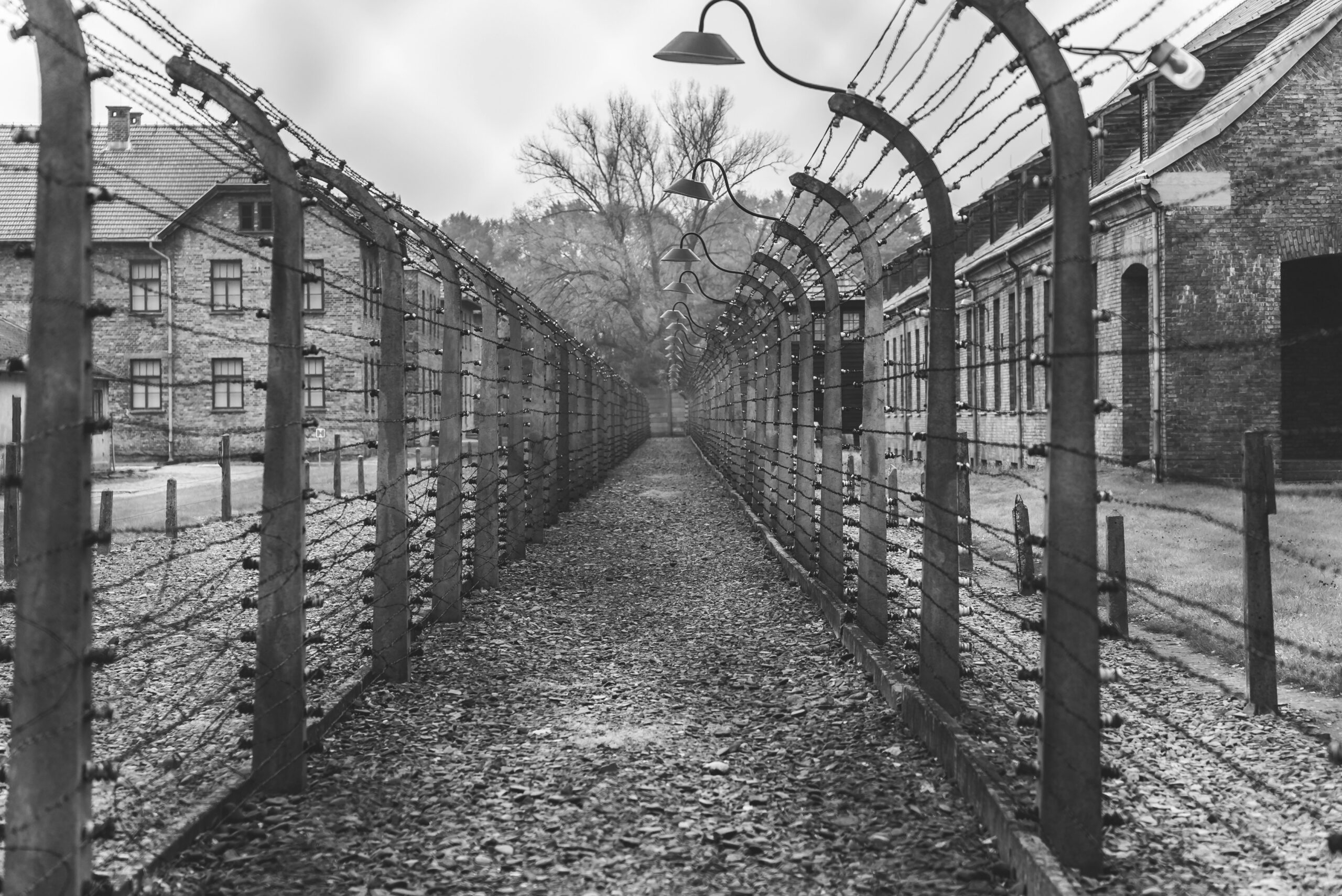 Minnesota Governor Links ICE to Holocaust Atrocities