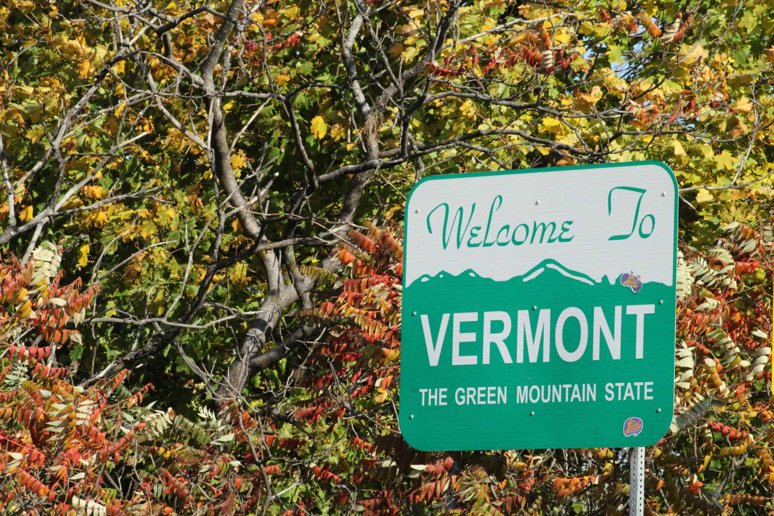 Vermont Rescinds Gender Mandate for Foster Parents