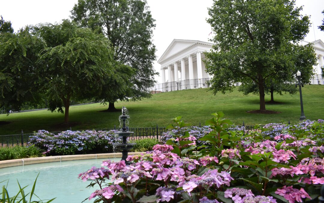 Virginia’s Redistricting Map Declared Unconstitutional