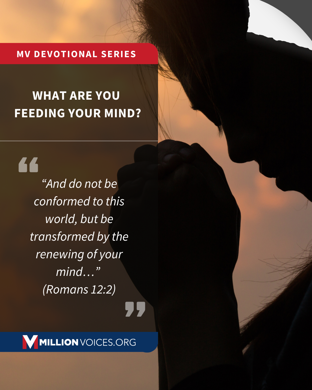 What Are You Feeding Your Mind?