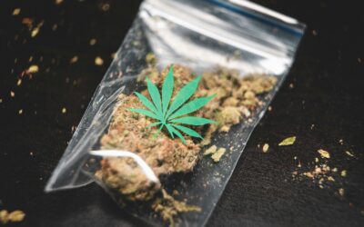 Justices Limit Gun Law for Marijuana Users