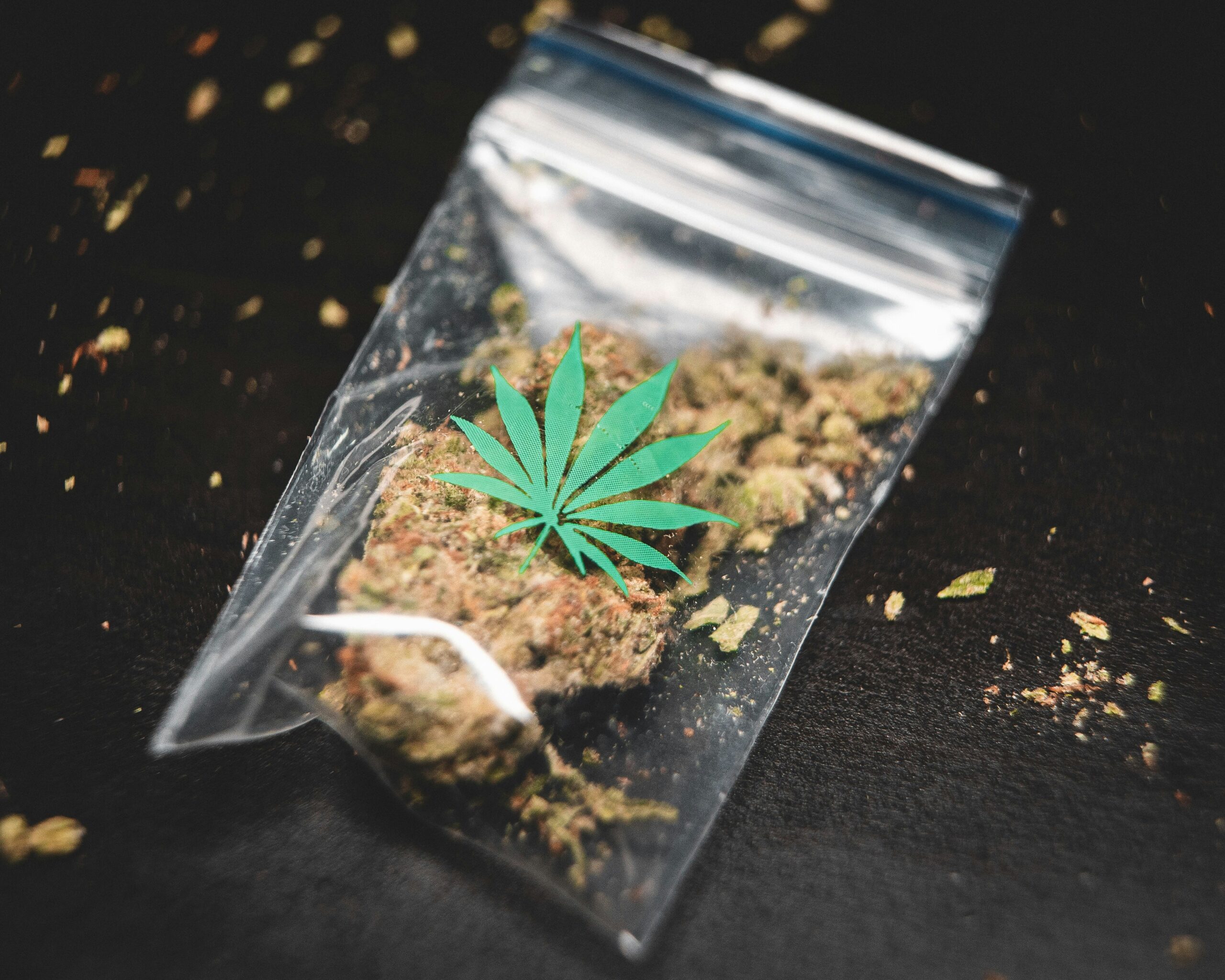 Texas AG Challenges ActBlue on Election Security Justices Limit Gun Law for Marijuana Users