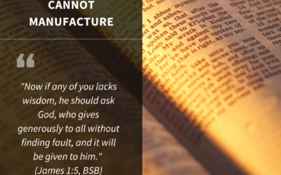 The Wisdom We Cannot Manufacture