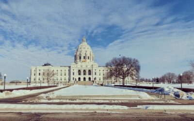 When a State Puts One Man Above the Law