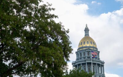 The Democratic Party's Leftward Shift Reaches Colorado