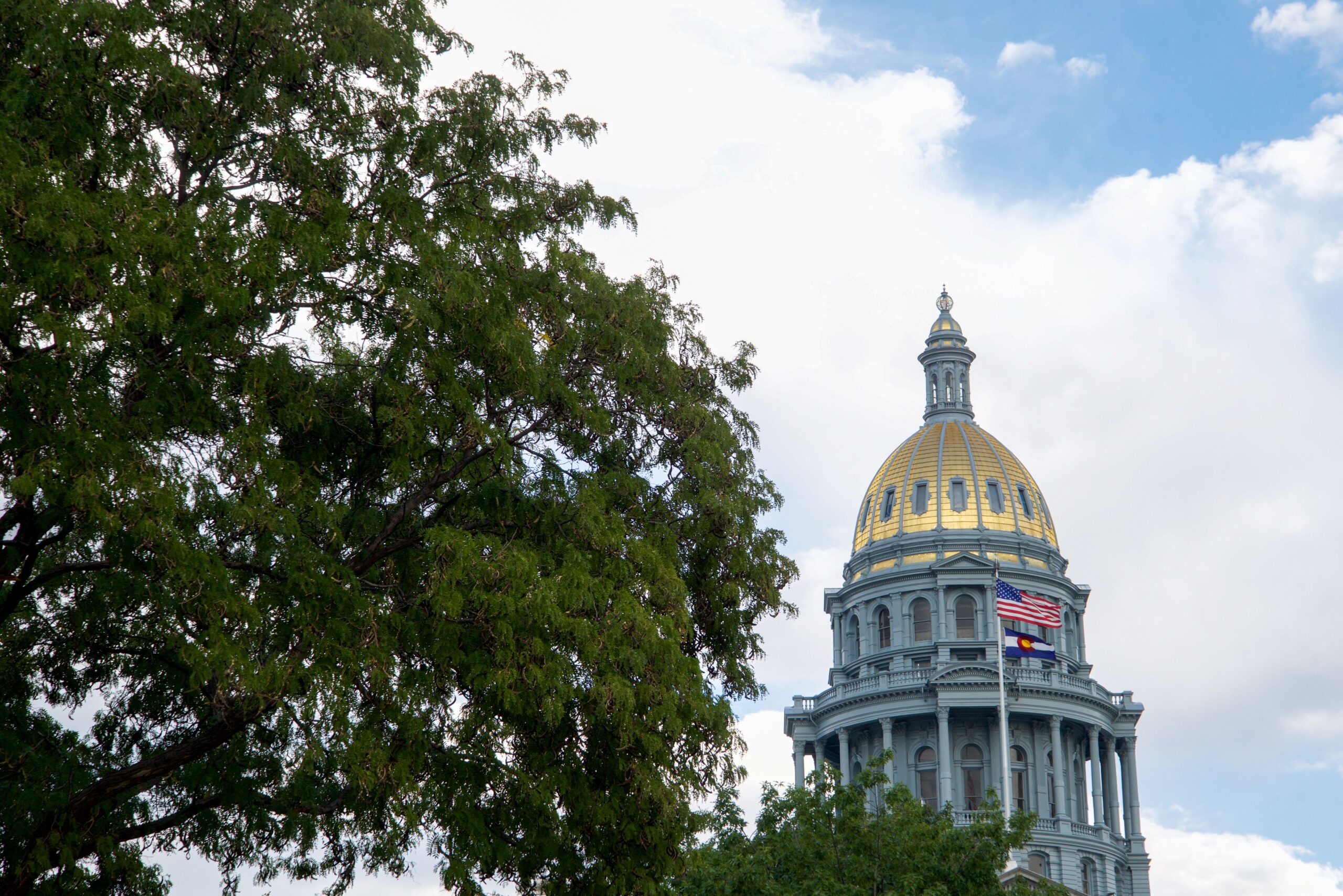 Texas AG Challenges ActBlue on Election Security The Democratic Party's Leftward Shift Reaches Colorado