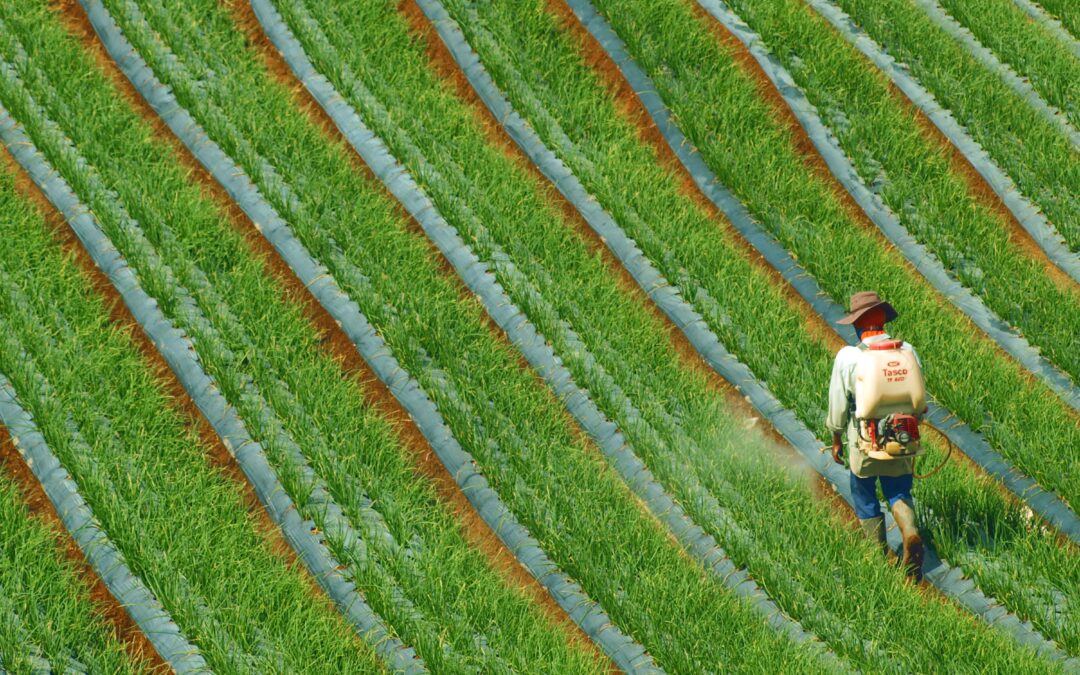Why SCOTUS Sided With Monsanto on Roundup