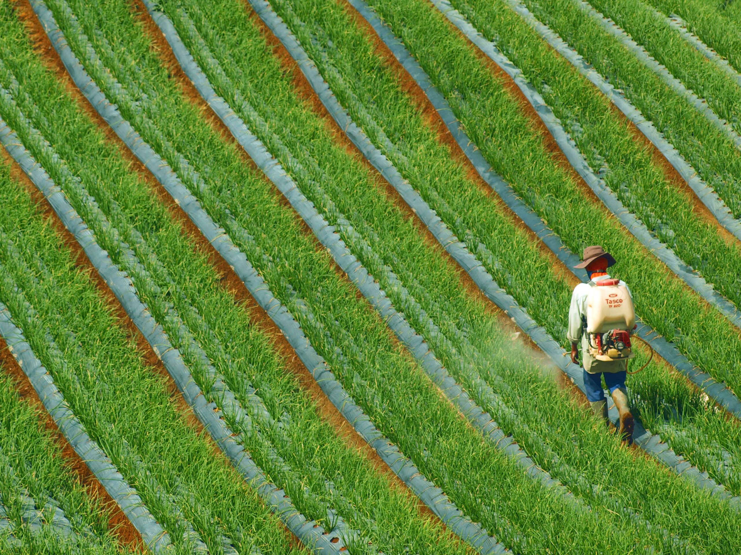  Why SCOTUS Sided With Monsanto on Roundup