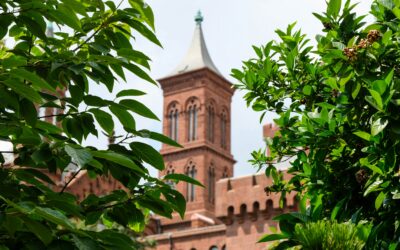 Politeness Is 'White Supremacy'? Inside the Smithsonian