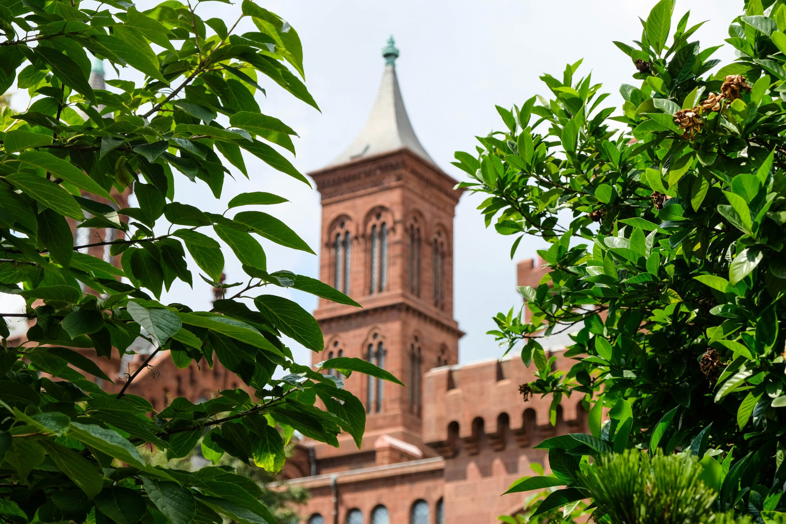 Texas AG Challenges ActBlue on Election Security Politeness Is 'White Supremacy'? Inside the Smithsonian